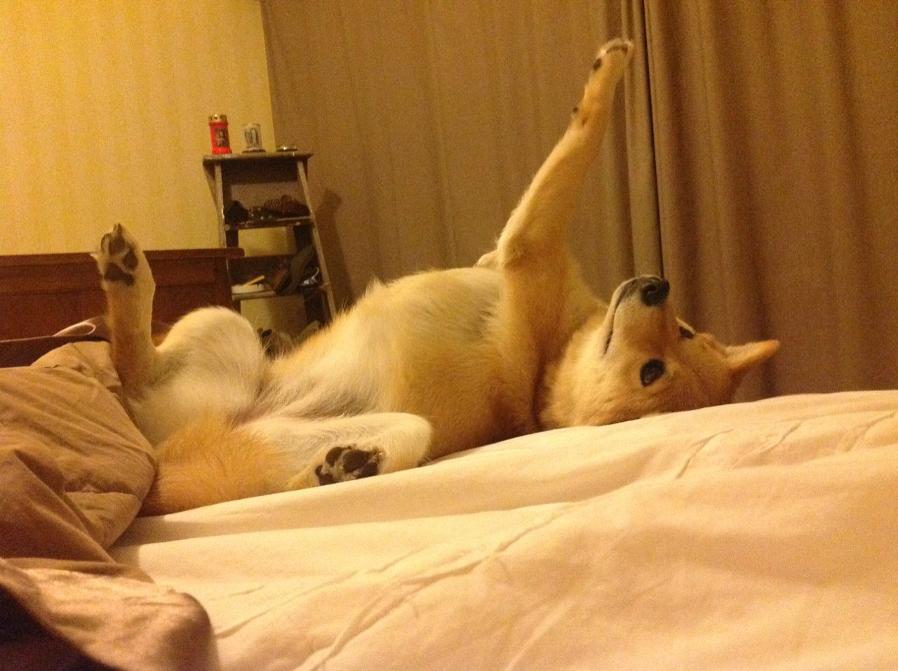 无声者宣言,抢七夜,德罗赞与那颗悬停于芝加哥上空的子弹