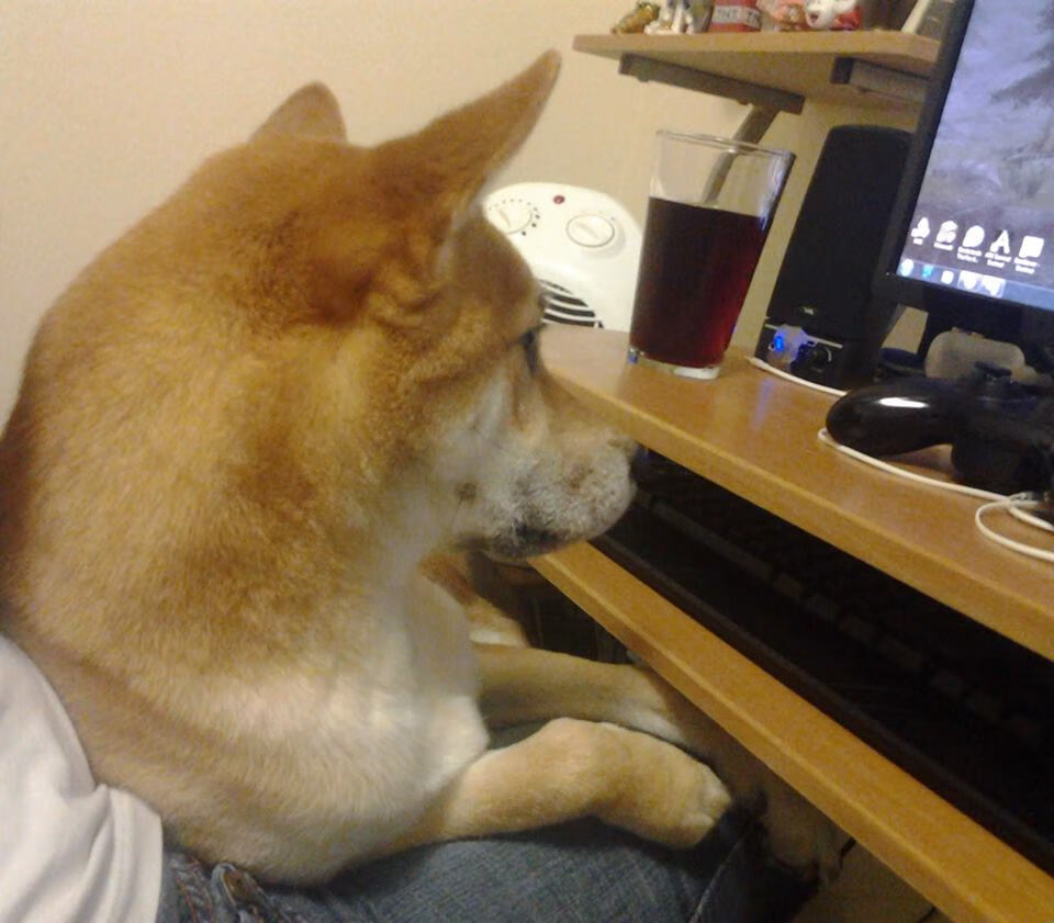 绝境之光,萨拉赫生死时刻拯救巴拉圭,缔造绿茵传奇