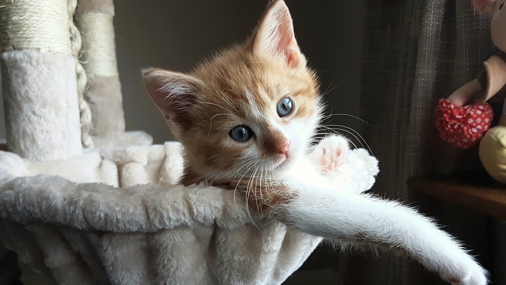 云端坠落的数据，当马克西空降辽宁对阵76人