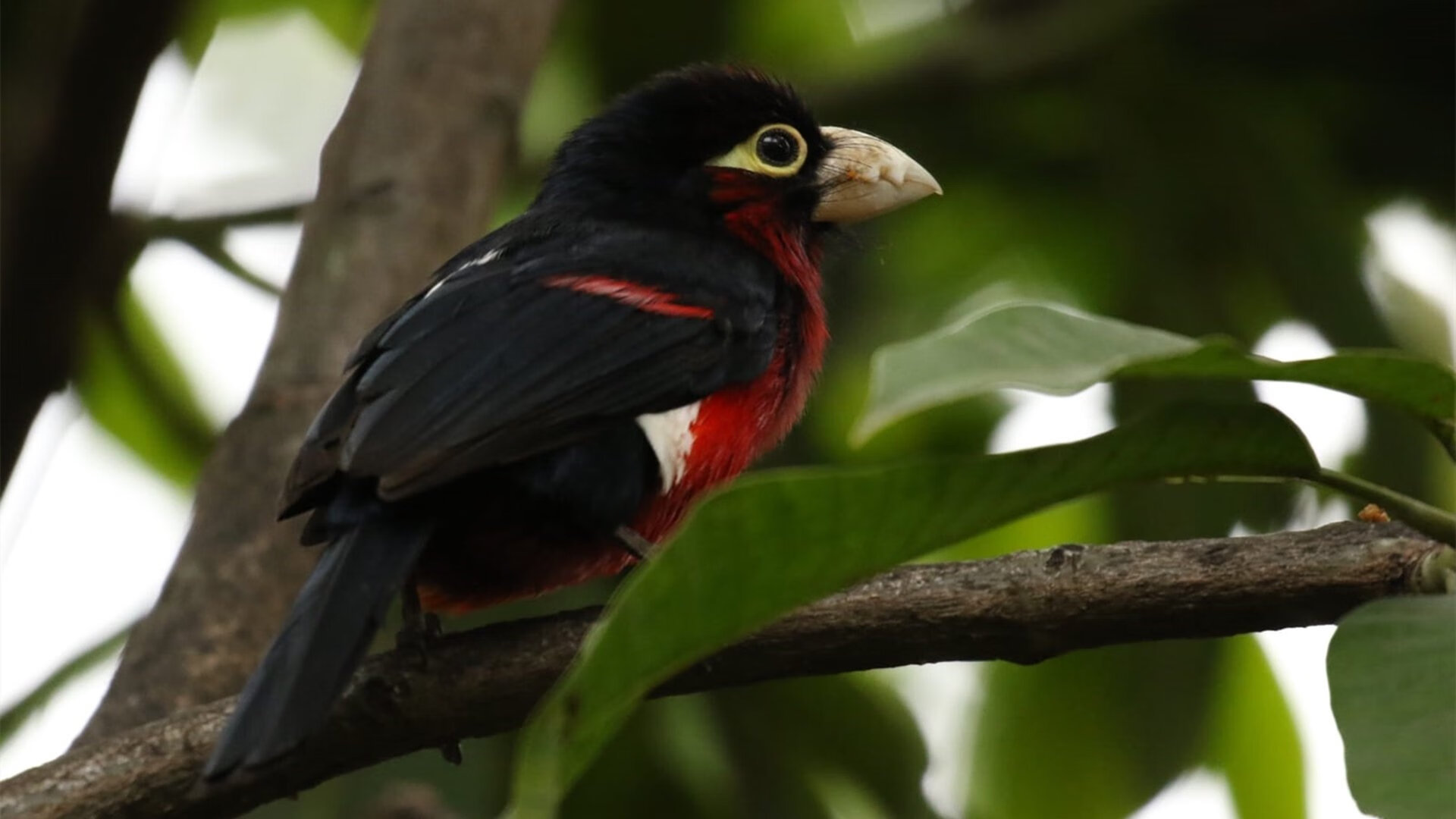 开云体育app-逆袭主宰时刻，从NBA关键战到英超争冠夜的救世主