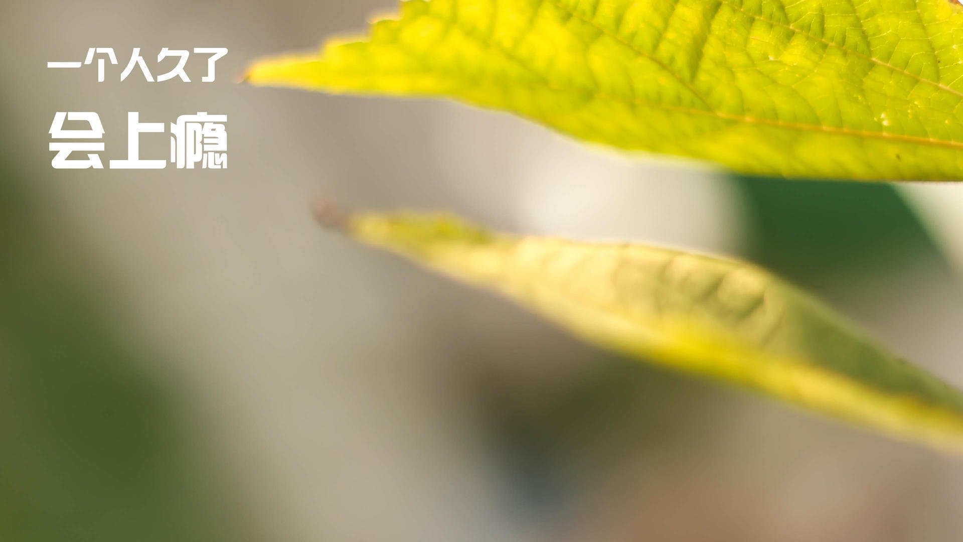 唯一性的双重奏，波兰完胜雷恩，皮克在排名争夺战中接管比赛