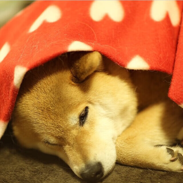 开云sport-当戈贝尔的阴影遇见文班亚马的天空，两代防守图腾如何封印了时代的超级挡拆