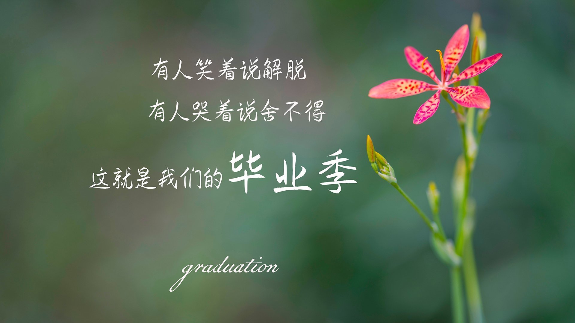 开云sport-跨界联动的奇迹，从巴黎锁死马赛到阿克接管NBA季后赛