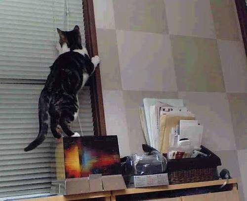 开云体育-宿敌的轮回，当掘金在NBA收割马刺，德甲争冠战也在重演历史