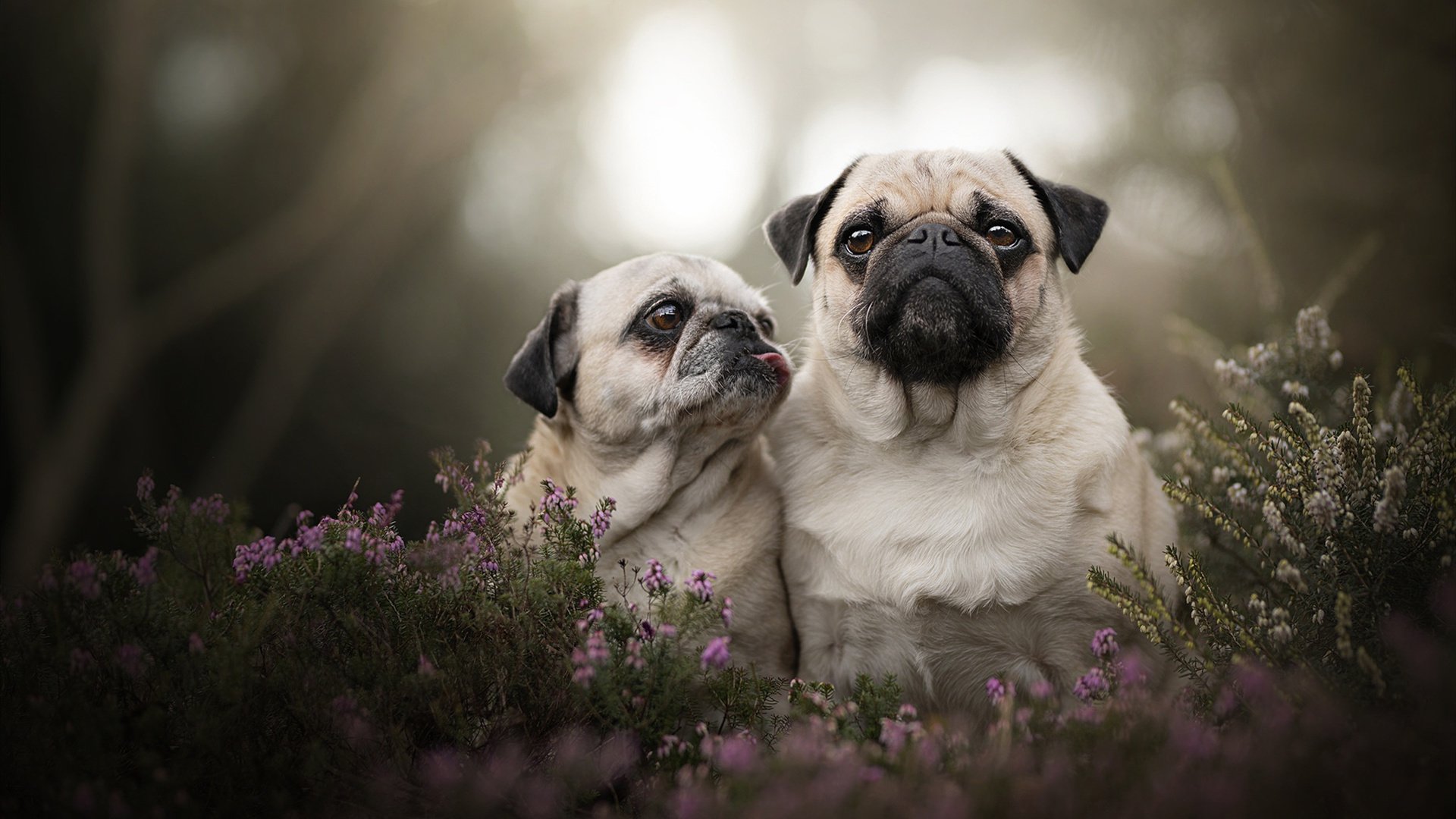 第三节的圣光，巴黎落选赛上中国男篮创造的唯一性逆转