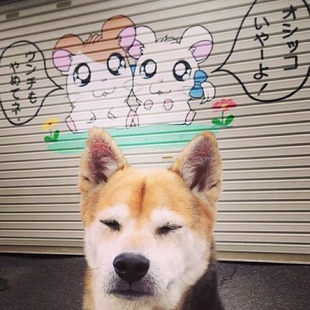 开云sport-特奥式爆发，国际米兰如何用蓝黑手术刀精准打穿委内瑞拉足球迷思