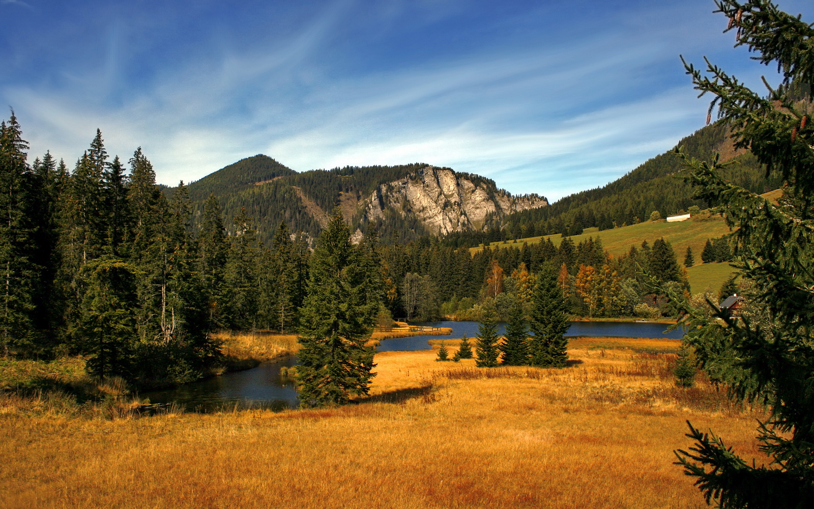 足球的压制密码，从几内亚的非洲杯战术，到拉亚在英超的冠军接管