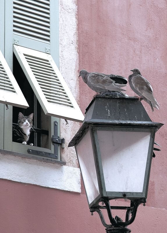 狼嚎时刻,爱德华兹,为何他的舞台越大心脏越强?