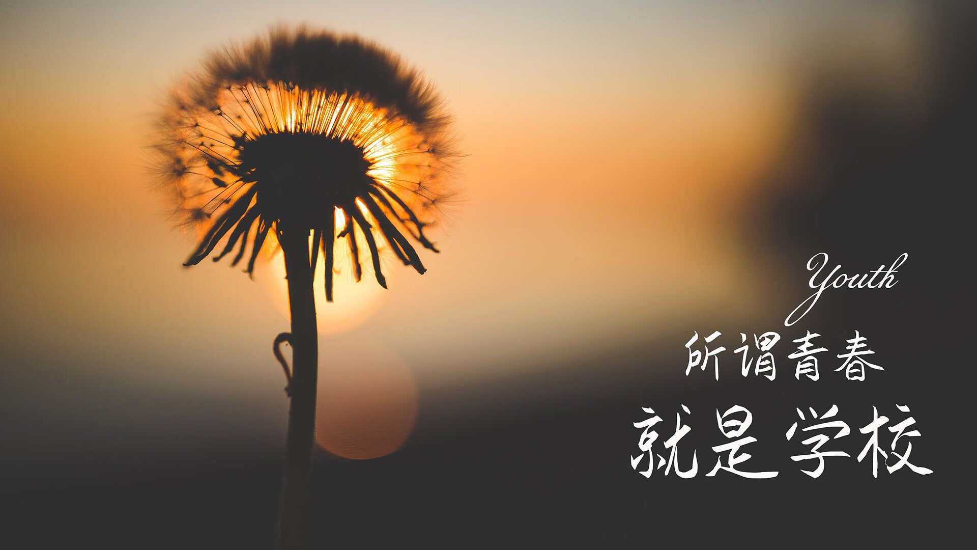 开云体育在线-潘帕斯雄鹰的异类，当费利克斯在C组撕裂安第斯山脉