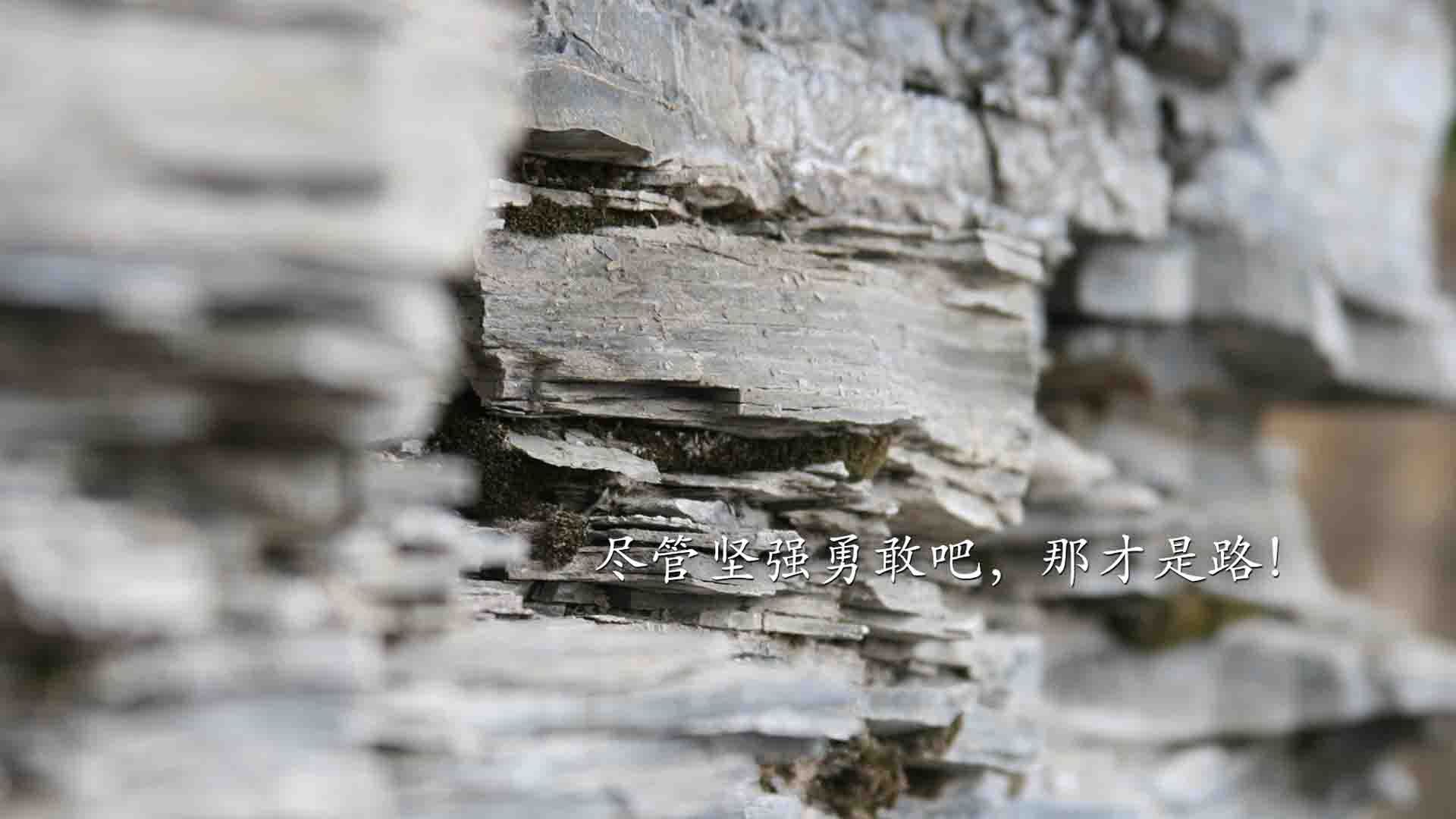 开云体育中国-南美黑马撕裂欧洲荣光，2026世界杯G组，厄瓜多尔用最犀利的矛，刺穿葡萄牙最坚固的盾，吉鲁演绎巨人杀手