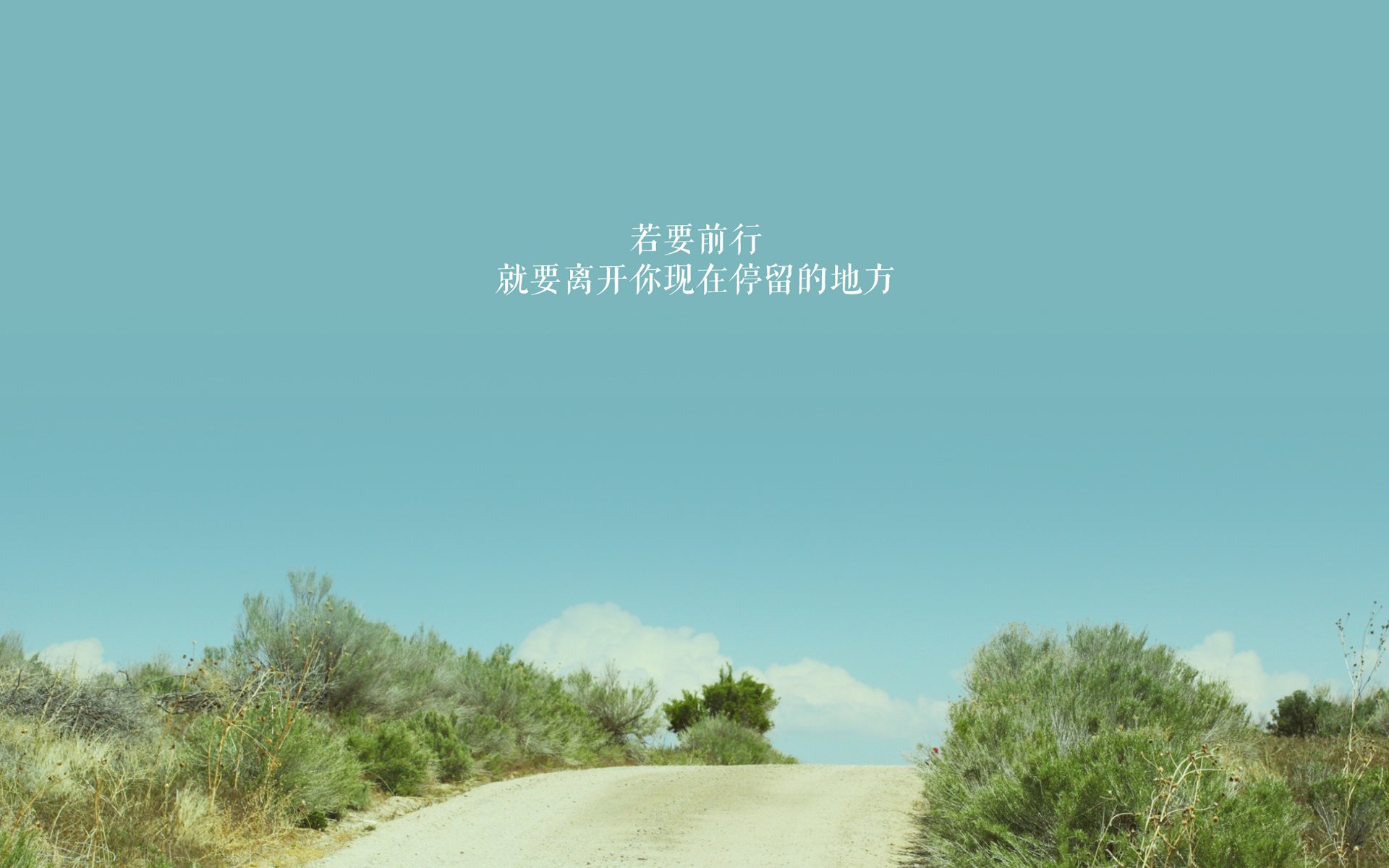 孤注一掷的亚洲之光,孙兴慜致命一击,秘鲁与突尼斯共铸C组唯一传奇