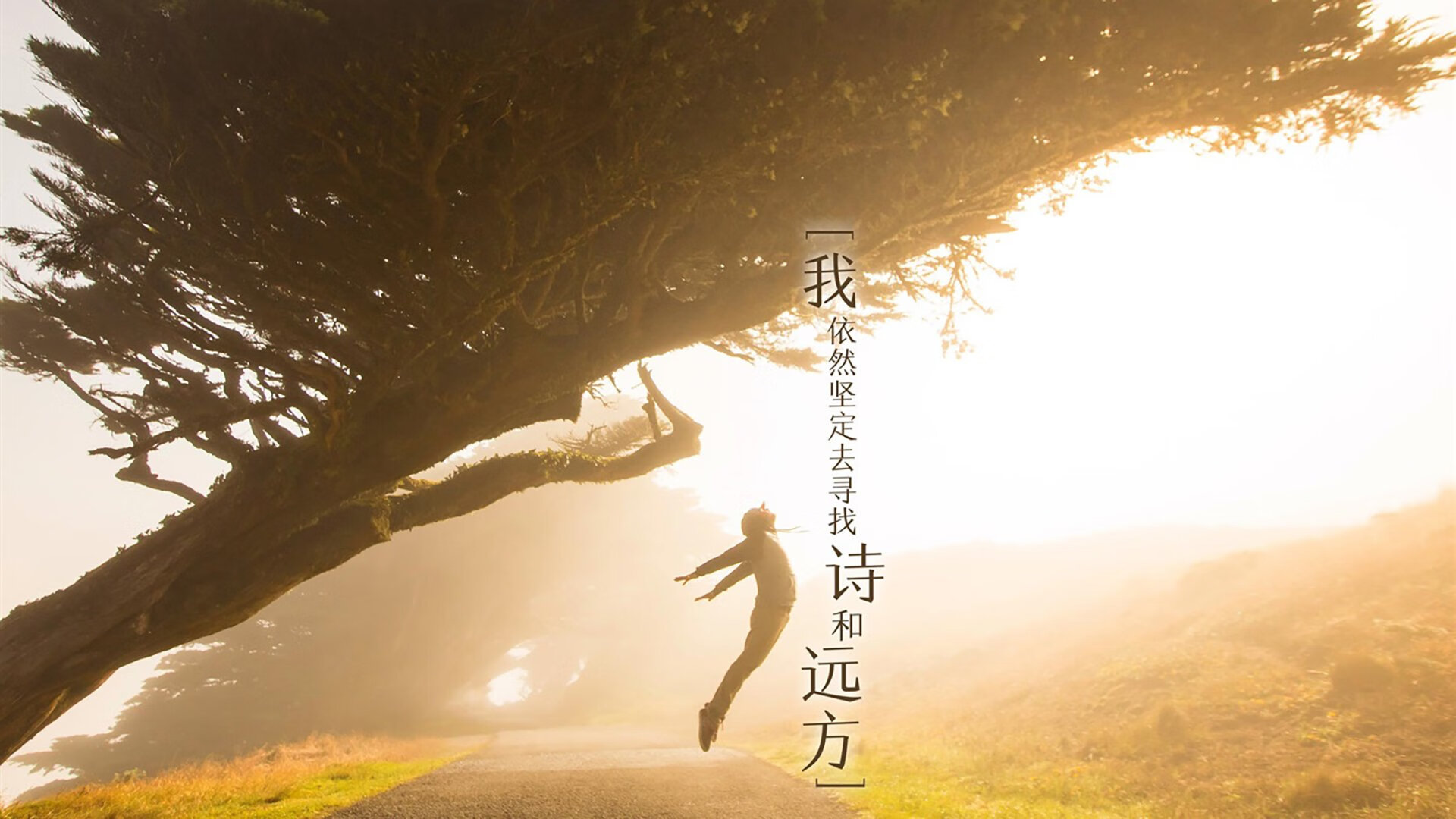 2026世界杯历史重演,维尼修斯致命一击,澳大利亚横扫加拿大谱写冰与火之歌